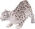 Mojo Snježni Leopard