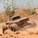 Arrma Quake 223S BLX 2WD 1:10 RTR fialová