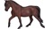 Mojo Horse Morgan smeđa