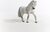 Schleich Kobyla poníka islandského