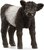 Schleich Gallowayské teľa
