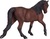 Mojo Horse Morgan smeđa