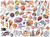 Galison Puzzle Aus dem Handbuch des Strandbummels 1000 Teile