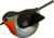 EUGY Červenka 3D kartonová skládačka