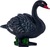 Mojo Cygne noir