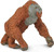 Safari® Orangutan