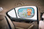Visiera parasole per auto animali