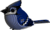 EUGY Modra sojka 3D kartonska sestavljanka