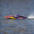 Proboat Sonicwake 24" RTR červený