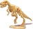 Dinodig vykopávka a kostra Tyranosaurus