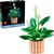 LEGO® Botanicals 11504 Lopatkovec