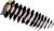 EUGY 3D Pappschwein Puzzle