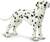 Safari® Dalmata Kutya