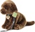 Plyšový pes labrador 25 cm ECO-FRIENDLY