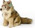 Plüsch Kojote/Wolf sitzend 24 cm UMWELTFREUNDLICH