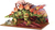 GRAINE CREATIVE Leseni 3D model Stegosaurus