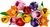 LEGO® Botanicals 11501 Kytica tulipánov