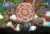 Trefl Puzzle 100 Draci v akcii / Ako vycvičiť draka