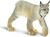 Safari® Kanadischer Luchs