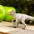 Safari® Yutyrannus dinosaurus