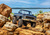 Traxxas TRX-4 Ford F-150 1:10 RTR modrý