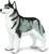Safari® Sibírsky husky