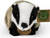 Plišani jazavac 22 cm ECO-FRIENDLY