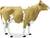Safari® Krava Guernsey