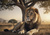 Puzzle Odpočívajúci lev 500 dielikov