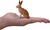 Mein sitzender Hase