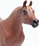 Safari® Arabská kobyla
