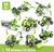 Engino Creative builder 15 models multimodelset