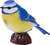 Mojo Blaumeise