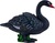 Mojo Cygne noir