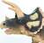Safari® Triceratops dinosaurus