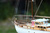 Mantua Model Motorová jachta Bruma 1:43 kit