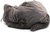 PTIPOTOS Plüschkatze Miaou braun – Mama mit Baby