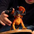 Schleich Gladiátor Lávakreatúra