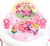 BRIGHT STARTS Chodítko JuneBerry Delight, 6m+