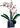 LEGO® Botanicals 10311 Orhidee