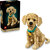 LEGO® Icons 11384 Šteňa zlatého retrievera