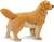 Safari® Zlatý retriever
