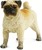 Safari® Câine Mops