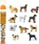 Safari® Toob Psy 11 figúrok