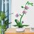 CADA Stavebnica Orchid 25,4 cm