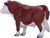 Mojo Hereford Stier