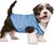 Vesta Dog Fantasy chladiaca XS