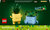 LEGO® Botanicals 10349 Plantas alegres