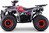 Benzínová štvorkolka pre deti Beneo Motors WARRIOR červená - 125cm3