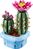 LEGO® Botanicals 11509 Kvitnúci kaktus